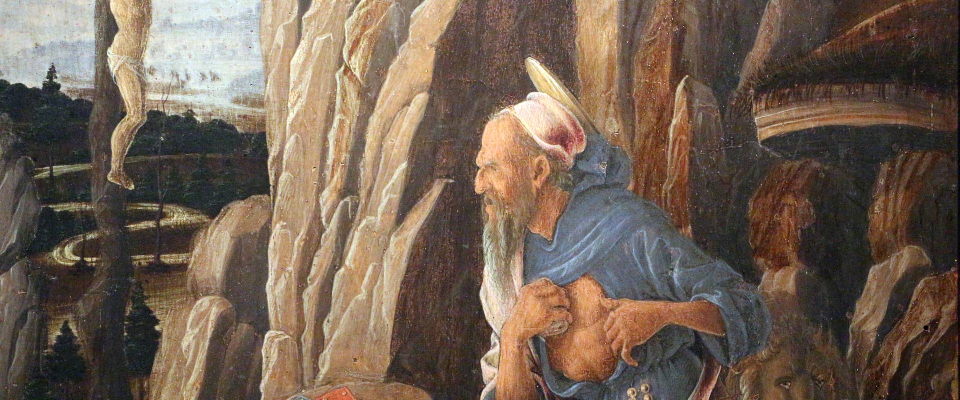 Marco zoppo, san girolamo penitente, 1470 ca., 03 foto di Sailko
